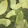Buy Coca leaves Online
