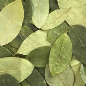 Buy Coca leaves Online