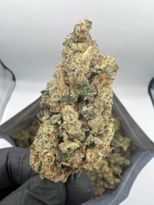 Biscotti Strain